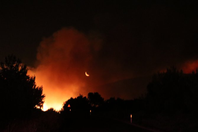 GÜNCELLEME - İzmir'de otluk alanda çıkan yangın nedeniyle 4 site boşaltıldı