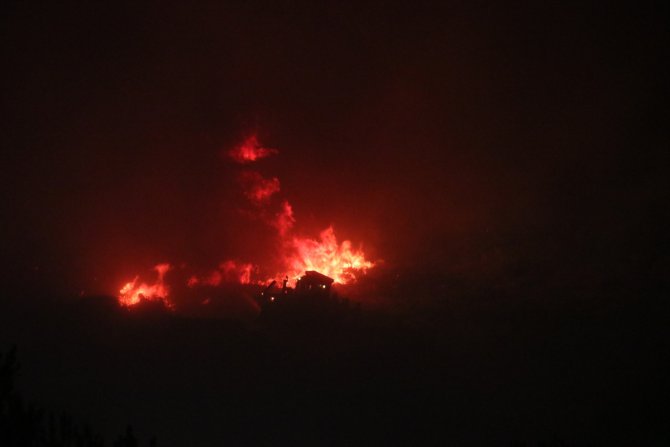 Tarım ve Orman Bakanı Pakdemirli'den Çeşme'deki yangına ilişkin açıklama: