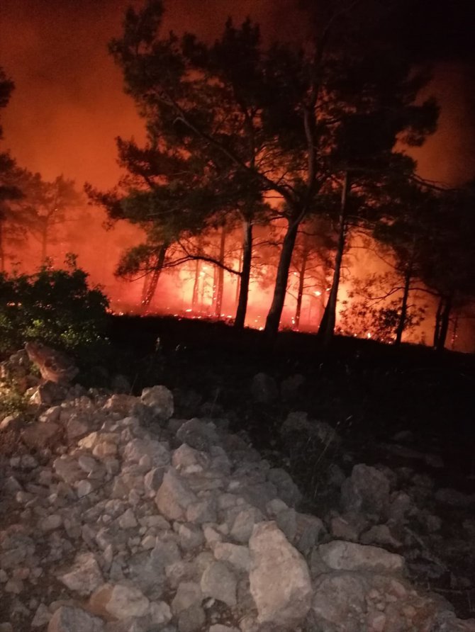 Mersin'de ormanlık alanda çıkan yangın söndürüldü