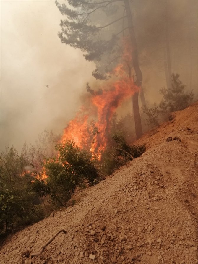 GÜNCELLEME - Adana'da orman yangını