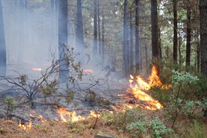 GÜNCELLEME - İstanbul'da Aydos Ormanı'nda yangın