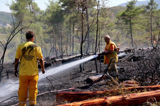 Suriye sınırında 2 ayrı bölgede orman yangını
