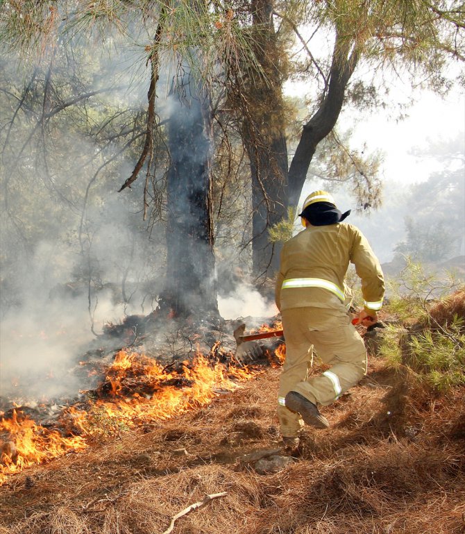 Muğla'da mangal, semaver ve ateş yakılacak alanlar sınırlandı