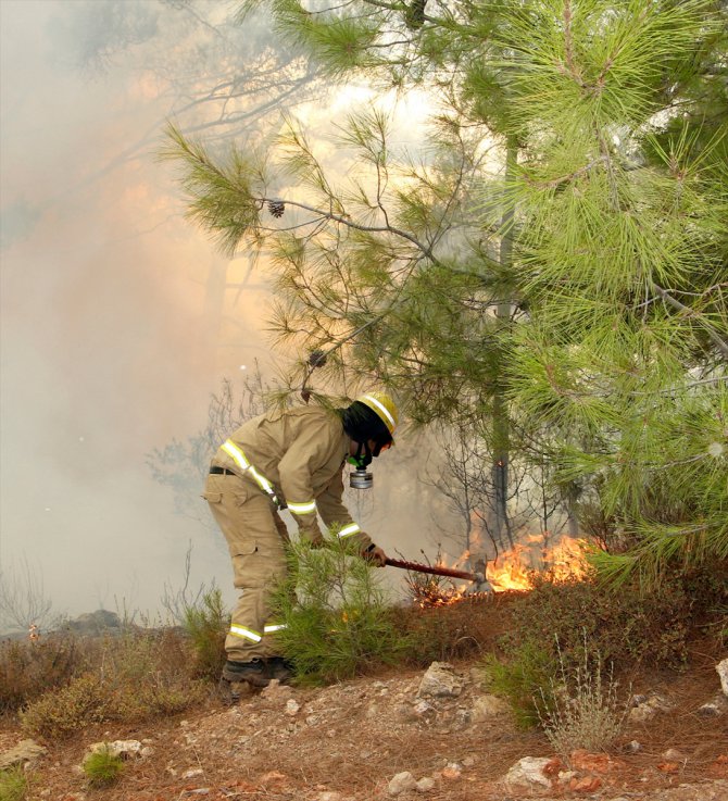 Muğla'da mangal, semaver ve ateş yakılacak alanlar sınırlandı