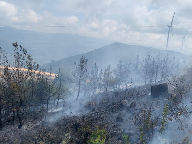 Hatay'da çıkan orman yangınında 2 dekar alan zarar gördü