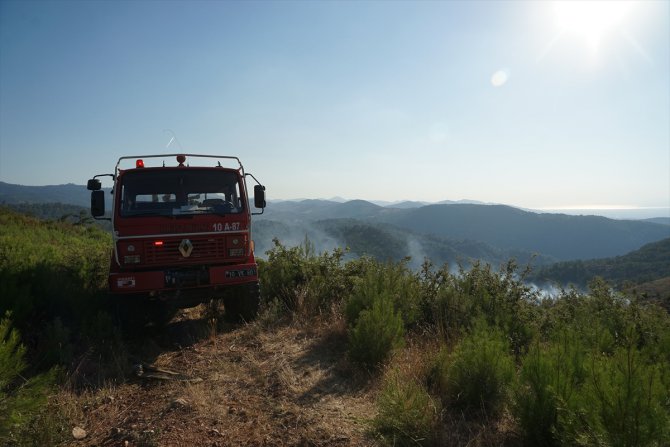 Balıkesir'de fidanların bulunduğu yetiştirme sahasında orman yangını