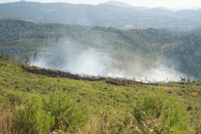 Balıkesir'de fidanların bulunduğu yetiştirme sahasında orman yangını