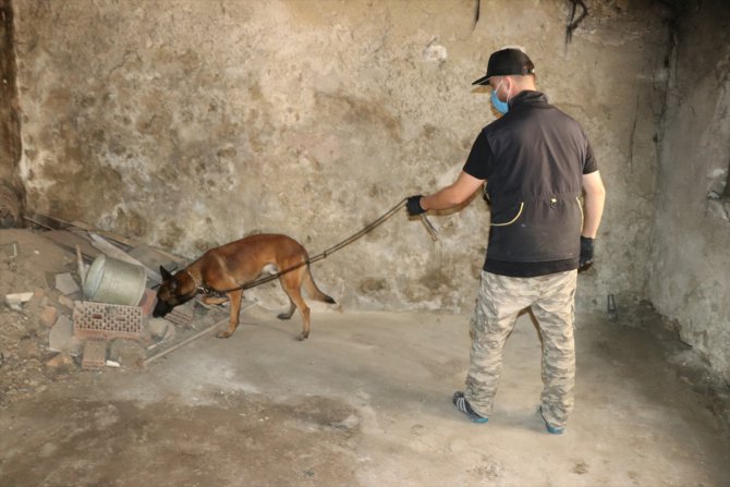 Bolu'da narkotik köpekleri "Sezar" ve "Artos" ile denetim yapıldı