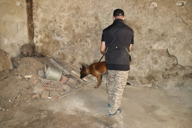 Bolu'da narkotik köpekleri "Sezar" ve "Artos" ile denetim yapıldı