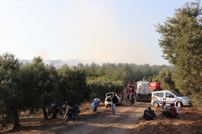 GÜNCELLEME - Bursa'da orman yangını