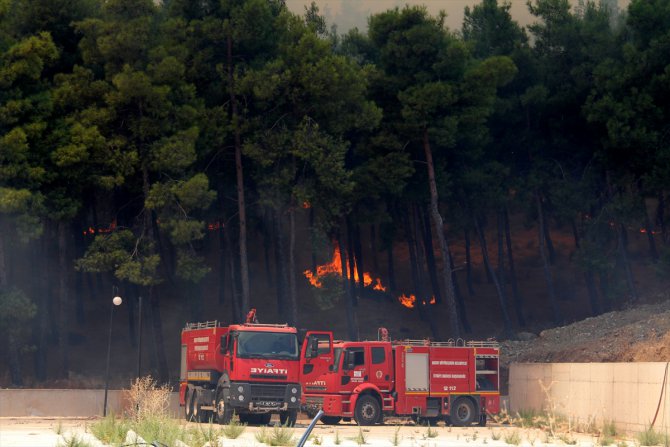 Hatay'da çıkan orman yangınında 5 hektar alan zarar gördü