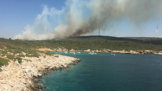 İzmir'de makilik yangınına müdahale ediliyor