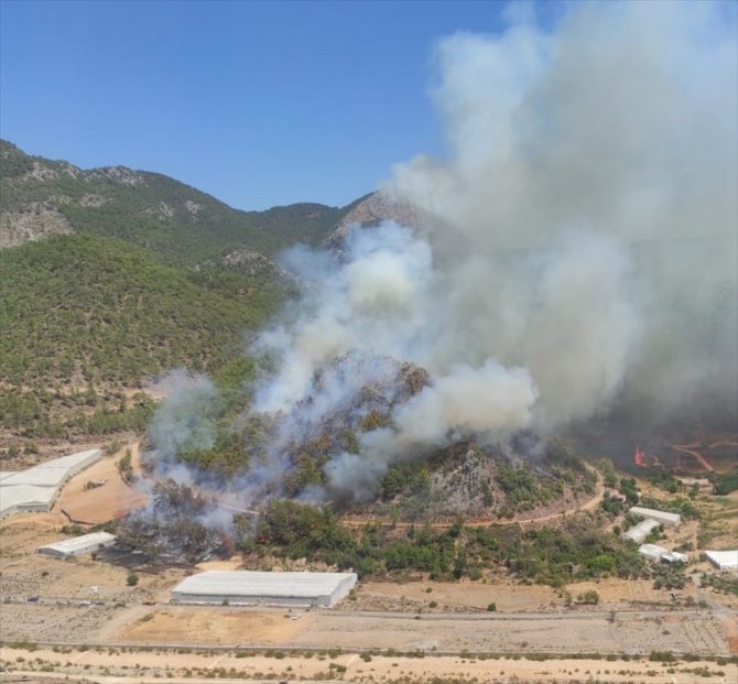Mersin'de çıkan orman yangınına müdahale ediliyor