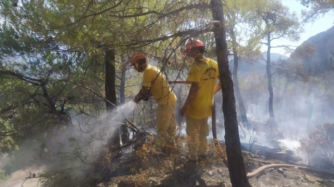 GÜNCELLEME - Datça'daki orman yangını söndürüldü