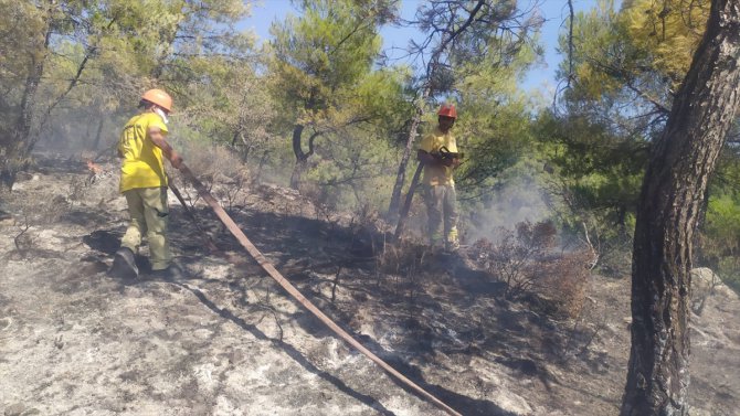 GÜNCELLEME - Datça'daki orman yangını söndürüldü