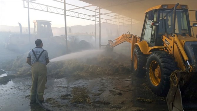 İzmir'de çıkan yangında 40 ton saman yandı
