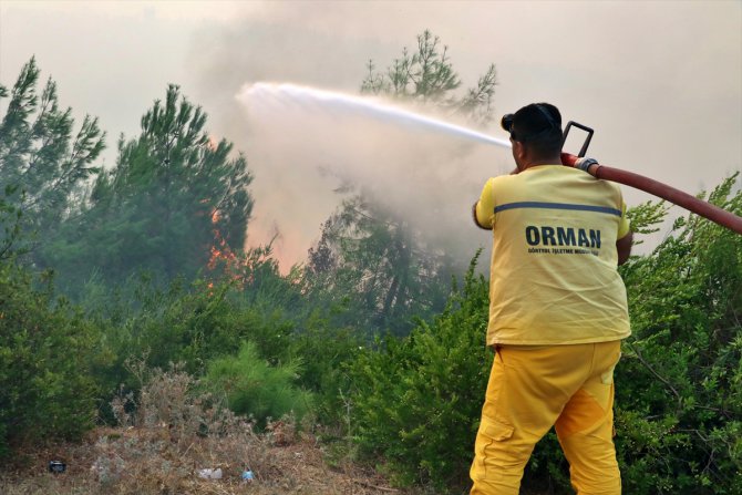 Adana'daki orman yangınına havadan müdahale tekrar başladı