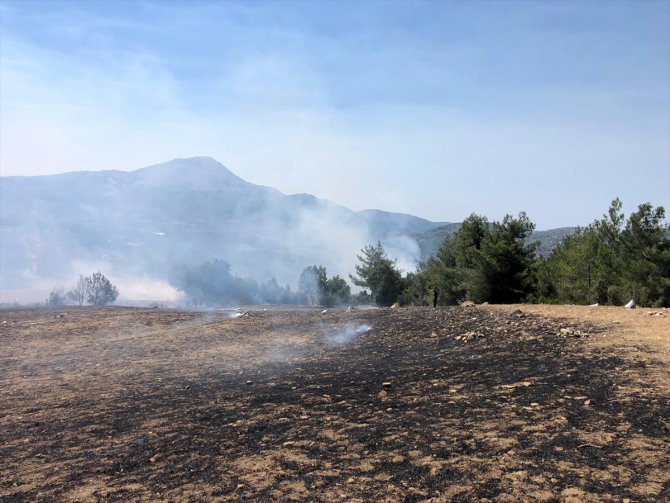 Hatay'daki orman yangınında 2 hektar alan zarar gördü