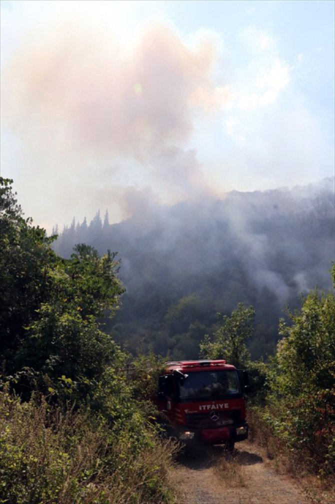 Kocaeli'de çıkan orman yangınına müdahale ediliyor