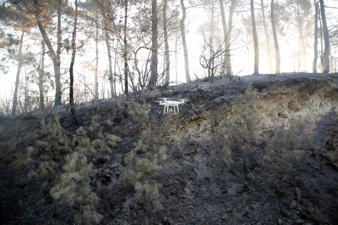 Adana'daki orman yangınına havadan müdahale tekrar başladı