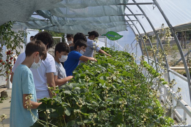 Liseli gençler robotik sistemli topraksız serada sebze meyve yetiştiriyor