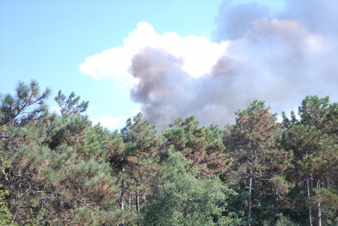 GÜNCELLEME - Ataşehir'de ormanlık alanda çıkan yangın söndürüldü