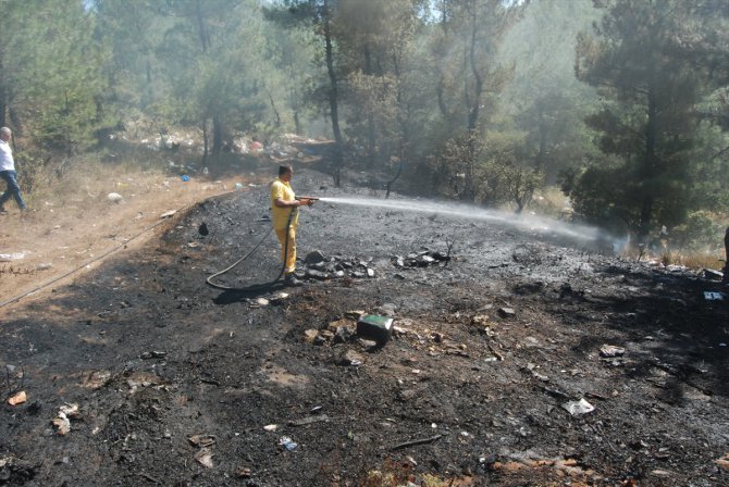 Çanakkale'de çöplükte başlayan yangın ormanlık alana sıçradı