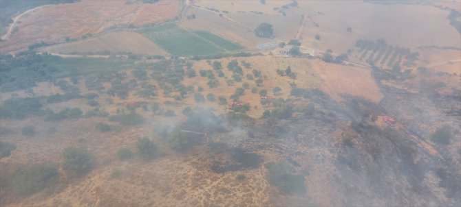 GÜNCELLEME - Hatay'da çıkan orman yangınında 1,5 hektar alan zarar gördü