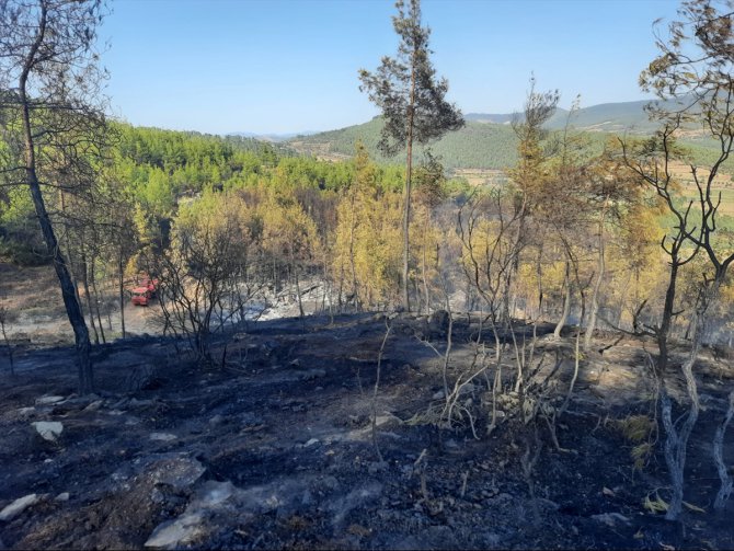 GÜNCELLEME - Aydın'daki orman yangını kontrol altına alındı