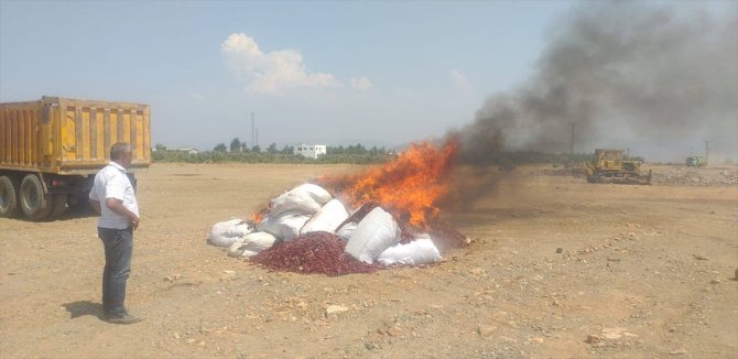 Gaziantep'te küflenmiş 15 ton biber ele geçirildi