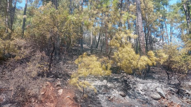 GÜNCELLEME - Marmaris'te çıkan orman yangını kontrol altına alındı