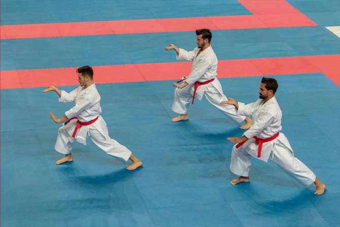 Türkiye Kulüplerarası Takım Karate Şampiyonası sona erdi
