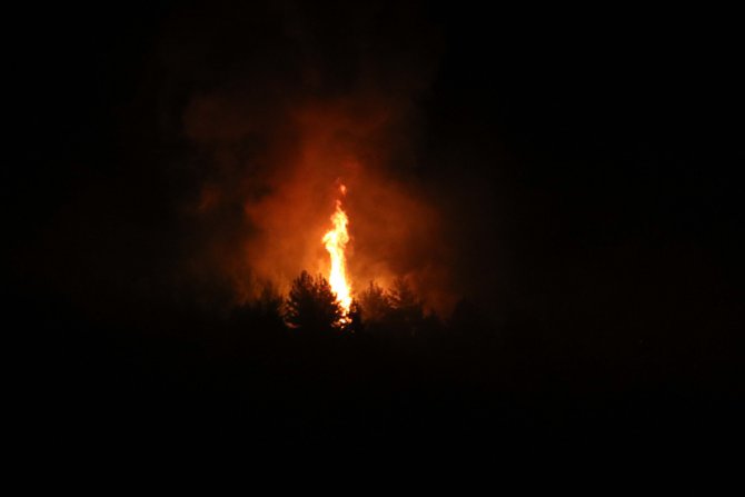 Uşak'ta ormanlık alanda çıkan yangın söndürüldü