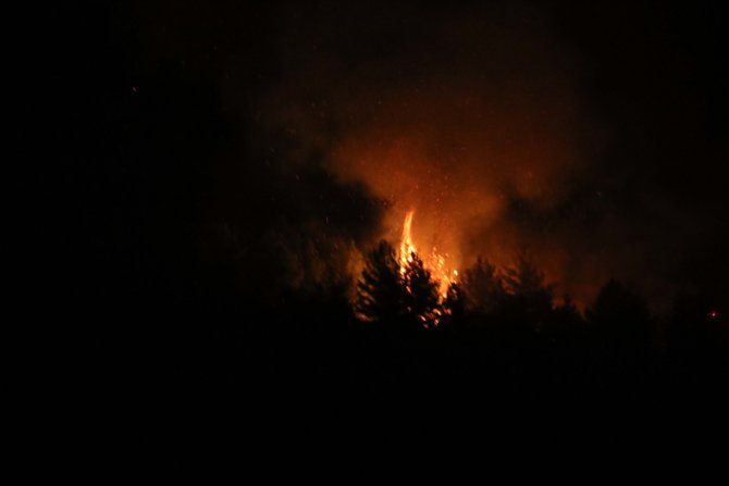 Uşak'ta ormanlık alanda çıkan yangın söndürüldü