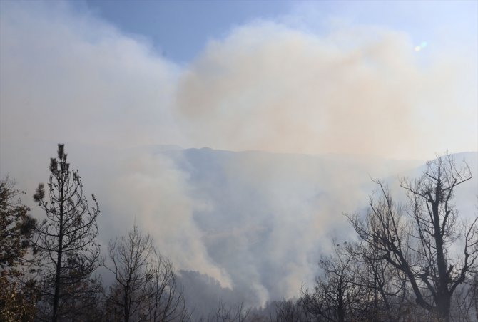 GÜNCELLEME - Zonguldak'ta çıkan orman yangını kısmen kontrol altına alındı