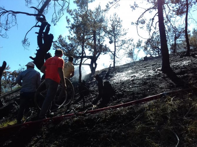 Amasya'daki orman yangını söndürüldü