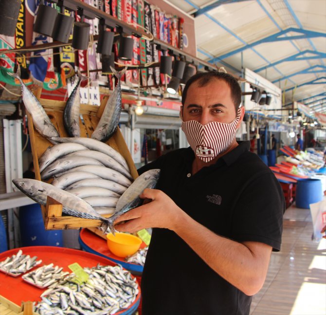 Balıkesir'de "vira bismillah" diyecek balıkçılar palamut bolluğundan umutlu