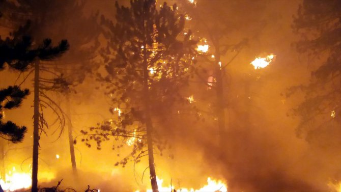 Ankara Valisi Vasip Şahin, Nallıhan'daki orman yangını bölgesinde incelemelerde bulundu: