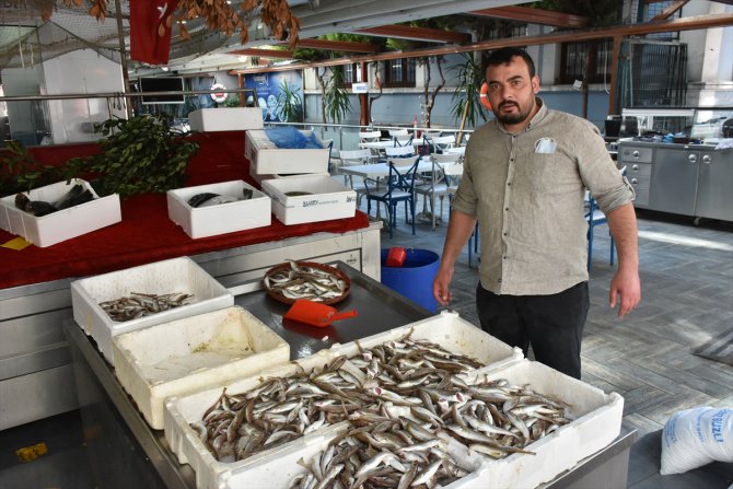 Balıkçılar "Vira bismillah" dedi tezgahlar şenlendi