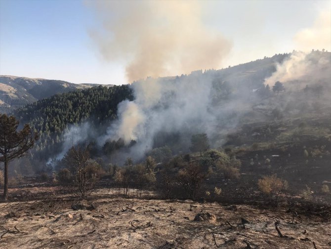 Çankırı'da çıkan orman yangınına hava destekli müdahale ediliyor