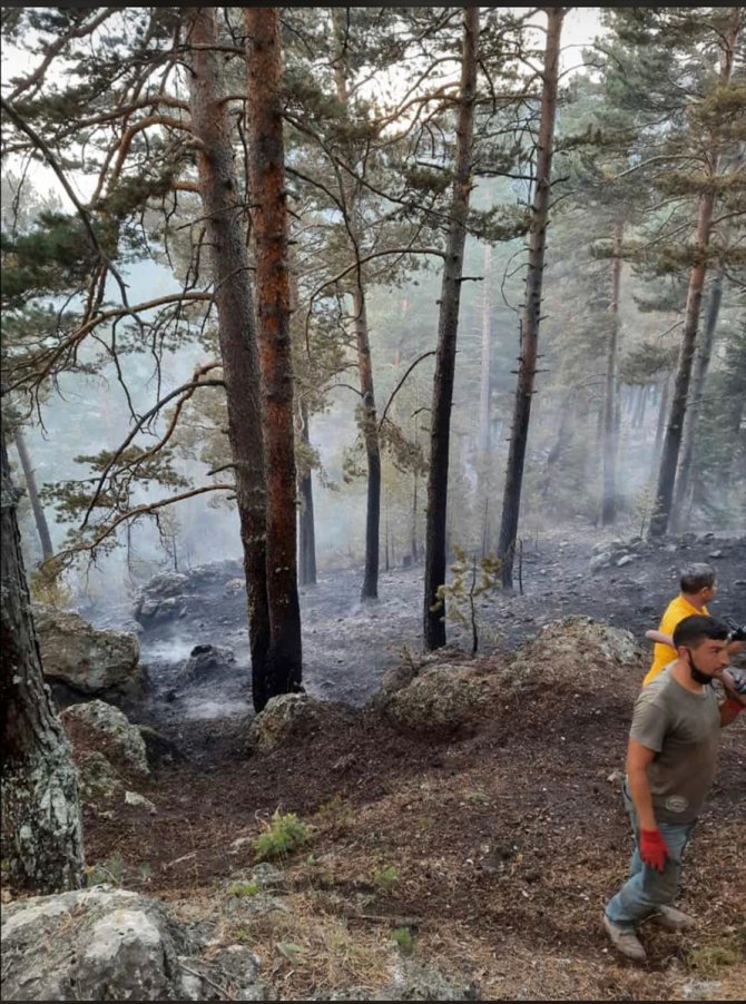 Sivas'ta 4 hektar ormanlık alan yandı