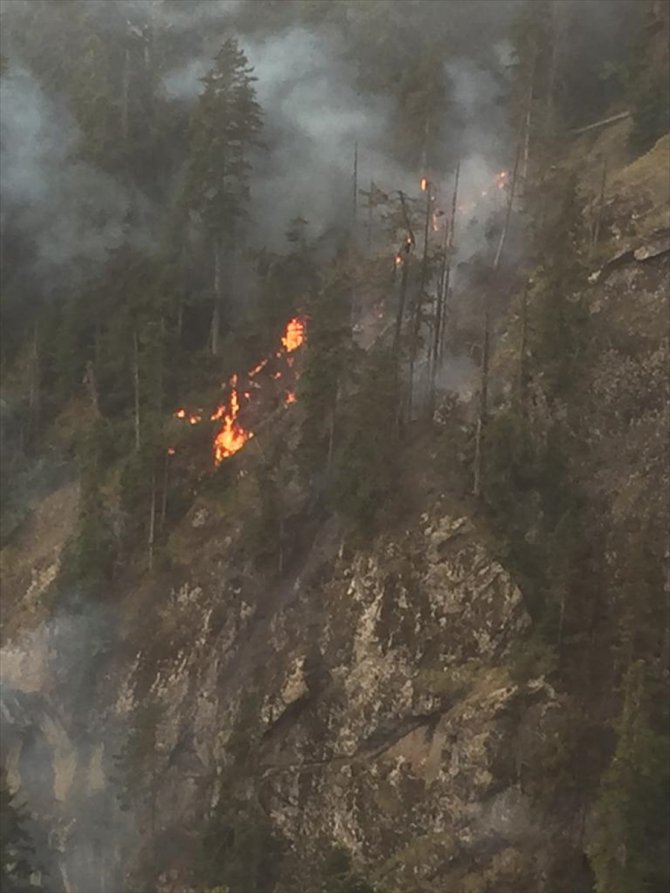 Artvin'de çıkan yangında 4 hektar orman zarar gördü