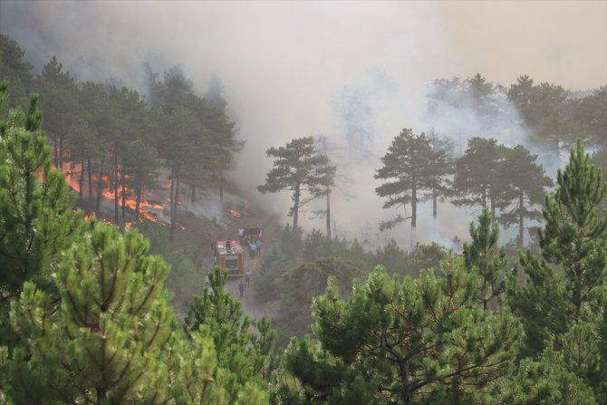 GÜNCELLEME - Denizli'de orman yangını