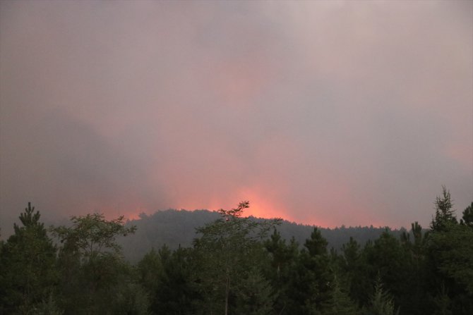 Bakan Pakdemirli, Denizli'deki orman yangınında incelemelerde bulundu:
