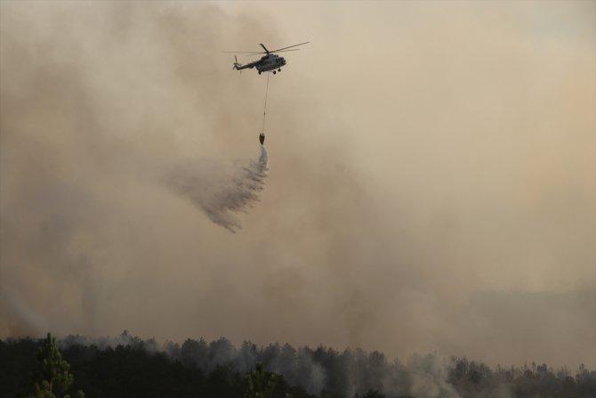 Bakan Pakdemirli, Denizli'deki orman yangınında incelemelerde bulundu: