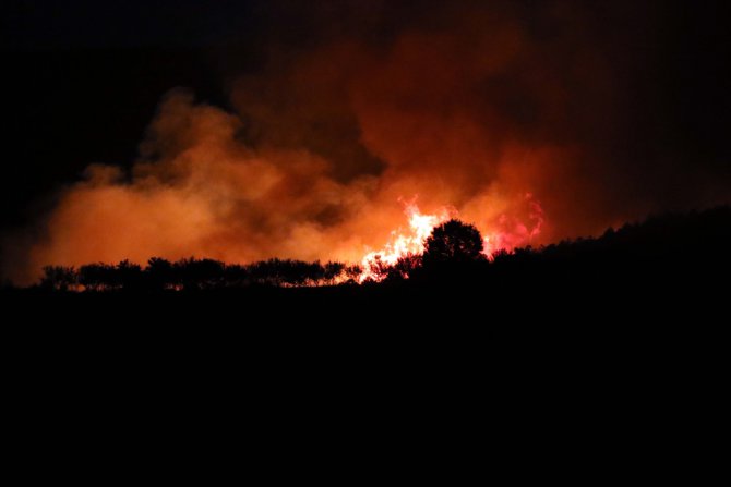 GÜNCELLEME 3 - Uşak'ta orman yangınına müdahale ediliyor