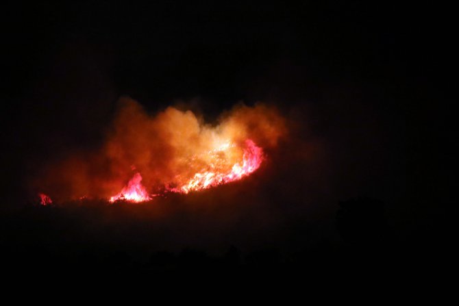 GÜNCELLEME 3 - Uşak'ta orman yangınına müdahale ediliyor