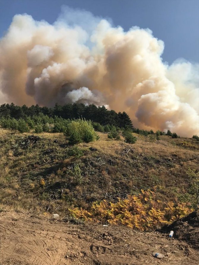 Çorum ve Sinop arasındaki ormanlık alanda çıkan yangına müdahale ediliyor