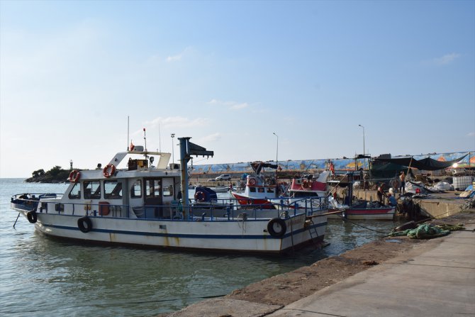 Batı Karadeniz'de balıkçılar sağanağın ardından yeniden denize açıldı