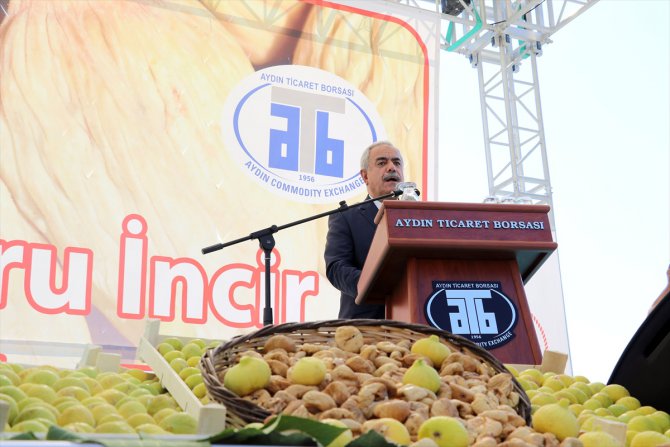 Aydın'da kuru incir sezonu açılış töreni yapıldı